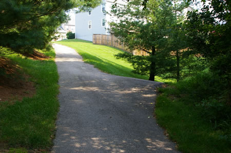 A trail intersects from the right. Turn right to follow that trail.