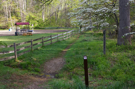 This is the start of this section of the Cross County Trail. Difficult Run should be on your right and a fence on your left.