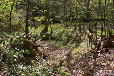 This area is confusing but follow the trail down to the creek and turn right.