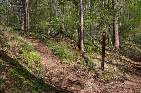 Turn right at the intersecting trail marked with an arrow.