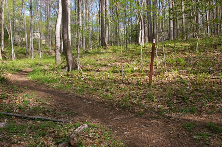 AT the next trail intersection turn to the left. The arrow on the sign may be slightly confusing.