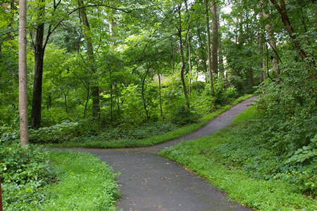 An asphalt trail intersects from the right. Stay to the left on the present trail.