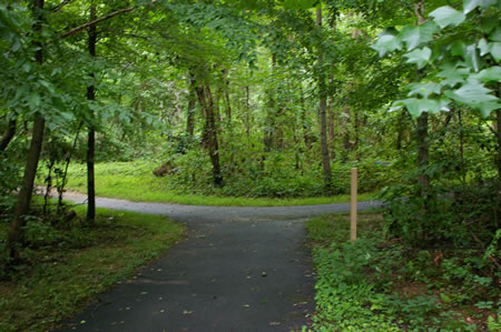 After descending the hill  the trail ends at an intersecting trail.