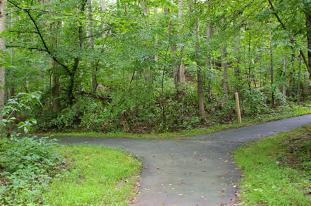 Turn right to go up the hill at the trail intersection near the bridge.