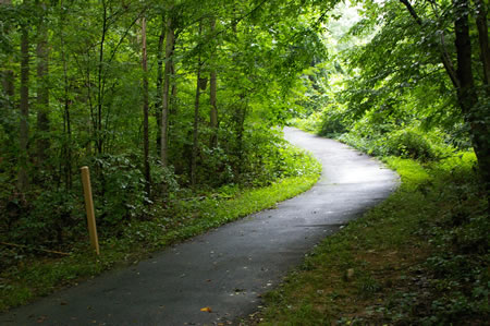 The trail climbs a very steep hill. Bicyclist will need very low gears.