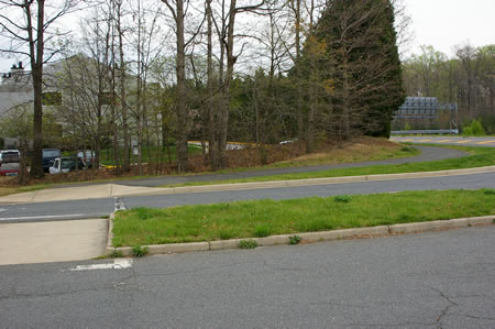 The trail crosses Painted Daisy Dr.