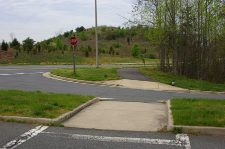 The trail crosses Painted Daisy Dr.