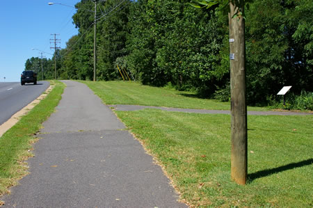 The CCT takes the wide asphalt trail after passing Elmendorf Dr. Turn right if you wish to continue on the next section. Go straight if you wish to only walk this section.