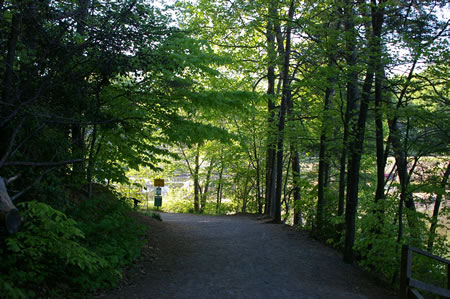 The trail is about to leave the woods and cross a pedestrian bridge.