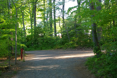 A gravel trail intersects from the right. Keep on the present trail 