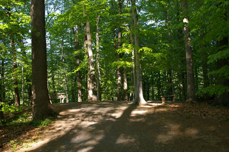 The trail takes a sharp right turn next to some benches overlooking the lake.