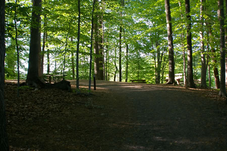 The trail takes a sharp left next to some benches.