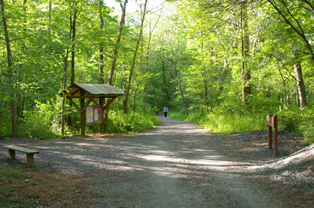 A trail intercepts from the left. Continue straight on the present trail.