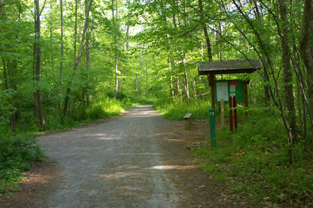 A trail intercepts from the left. This trail continues to loop around Lake Accotink. Stay straight on the current trail to continue following the Cross County Trail in the Wakefield Park section.