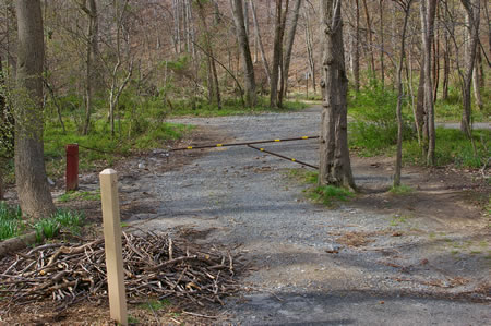 On the other side of the parking lot follow the stone trail for a short distance and turn left.