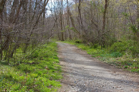 The stone trail follows Accotink Creek downstream.