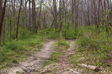 Turn left at the markers shown in the picture.