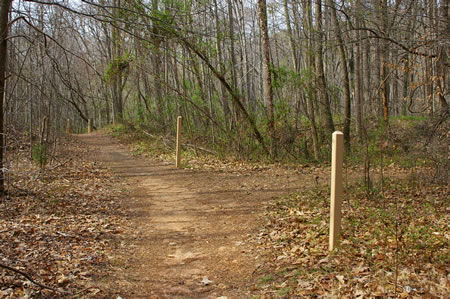 A trail intersects from the right. Continue straight on the present trail.