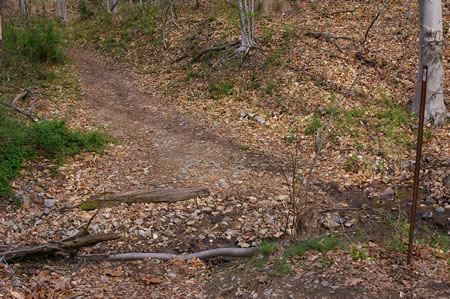 The trail crosses a small stream and continues to the left.