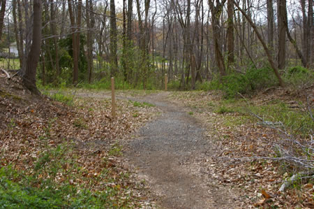 Two trails intersect after crossing under a telephone caable. Take the trail to the right.