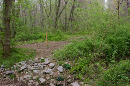 Turn right at the marker on the other side of the stream.