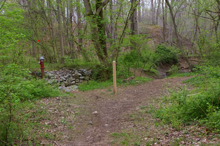 Turn left at the trail marker to cross a stream. Notice the fire hydrant on the other side.