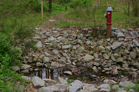 The trail crosses the stream on rocks.