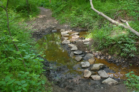 The trail crosses a side stream.