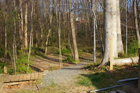 Follow the stone trail from the end of the parking area into the woods.