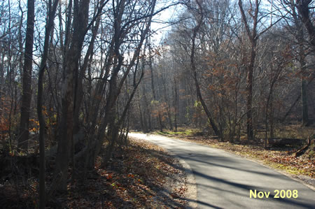 The trail follows the Accotink Creek on the right.