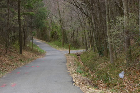 Turn right onto the first intersecting asphalt trail.