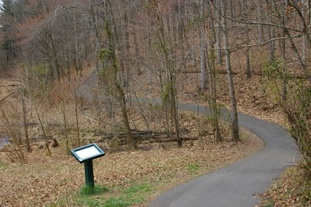 The trail goes down the hill and follows the stream at the bottom.