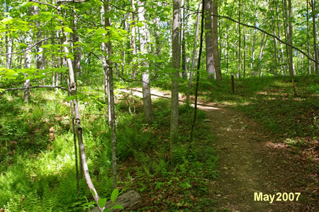 Climb the hill that is the remains of an old road. Notice the  pipe under the hill. 