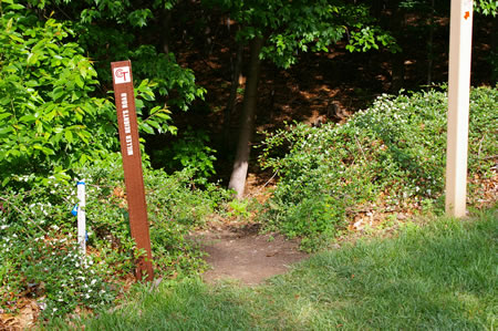 Turn left and walk down a short steep hill as you enter the woods.