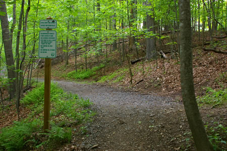 The trail widens and has a hard surface. Continue straight. Do not take the intersecting trail to the right.