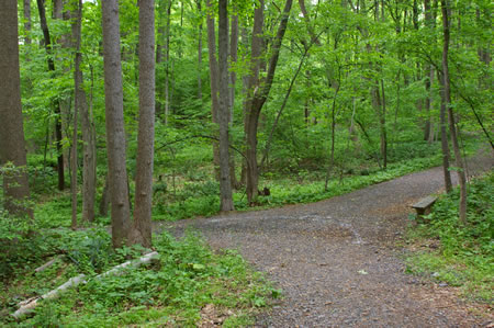 At the next hard surface trail intersection take the trail to the left.