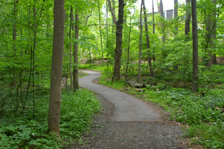 The trail heads back towards the creek with houses on the right.