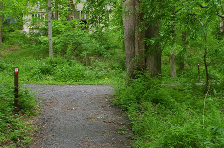 Turn right at the next hard surface trail intersection.