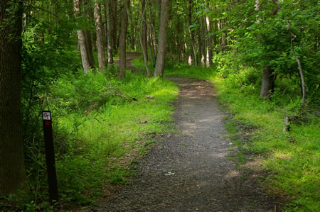 The hard surface trail continues to follow the creek.