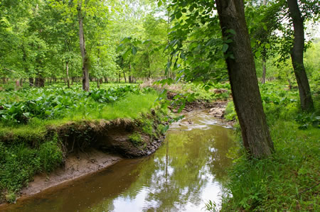 After considerable distance the trail allows a view of Difficult Run.