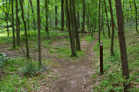 Turn left onto the dirt trail at the marker.