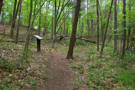 The trail passes a display on the left.