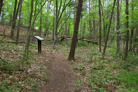 The trail passes a display on the left.