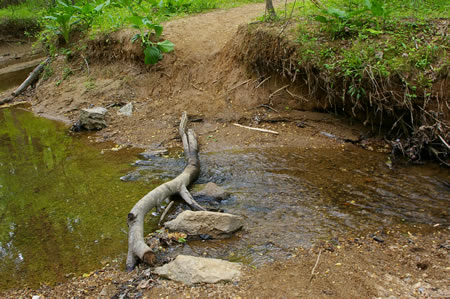 This shows the stream crossing from the other side taken on a different day.