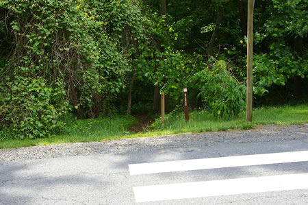 Cross Miller Heights Rd in the crosswalk.