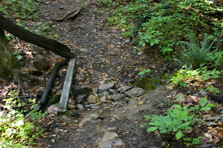 The trail crosses a narrow stream.