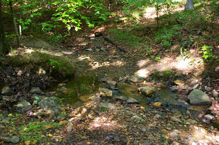 This is a close-up of the crossing.