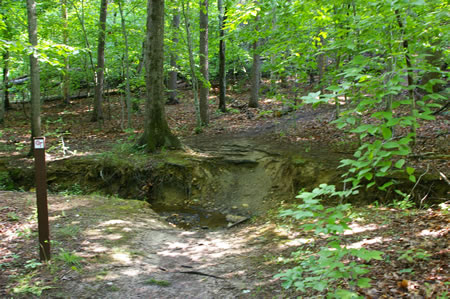 The trail comes to a stream crossing. Make the crossing.