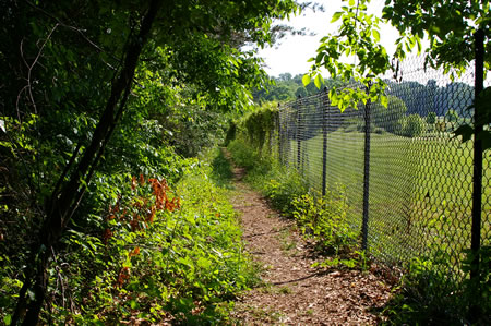 A fence separates the trail from the Oak Marr golf course at this point. There is also a fence on the left.
