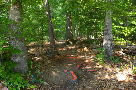The trail leaves the fenced area and enters the woods. 